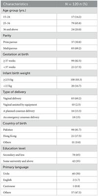 Maternity care experience of Pakistani ethnic minority women in Hong Kong